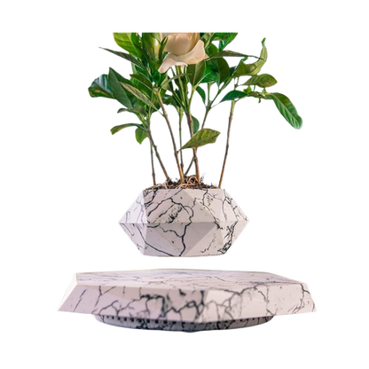 MAGNETIC FLOATING POT