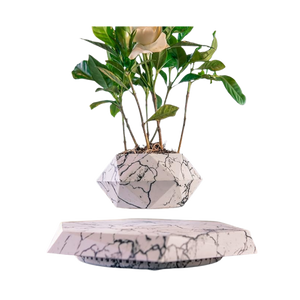 MAGNETIC FLOATING POT