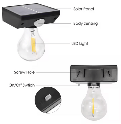 Solar Induced LED Light Bulb